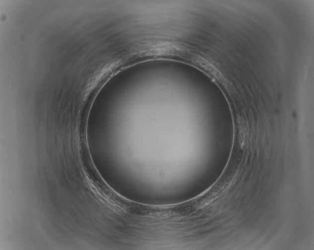 X0000068860482200605081244