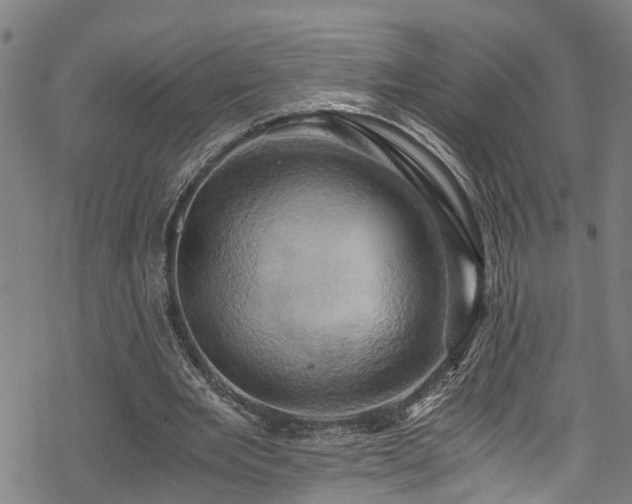 X0000068860485200605081244
