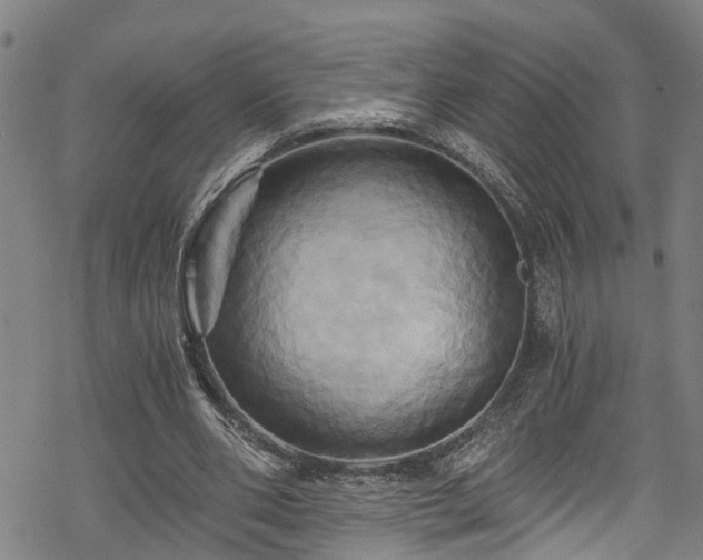 X0000068860486200605081244