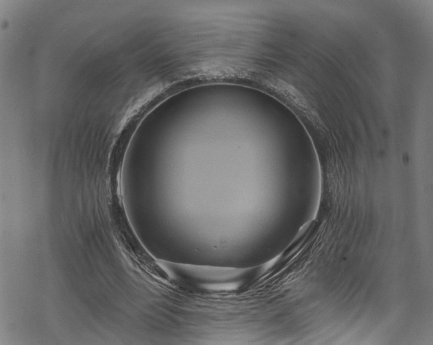 X0000068860488200605081244