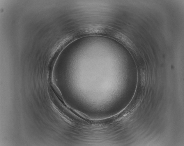 X0000068860490200605081244