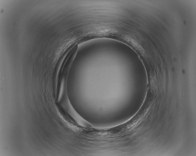 X0000068860493200605081244