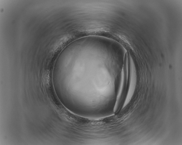 X0000068860495200605081244