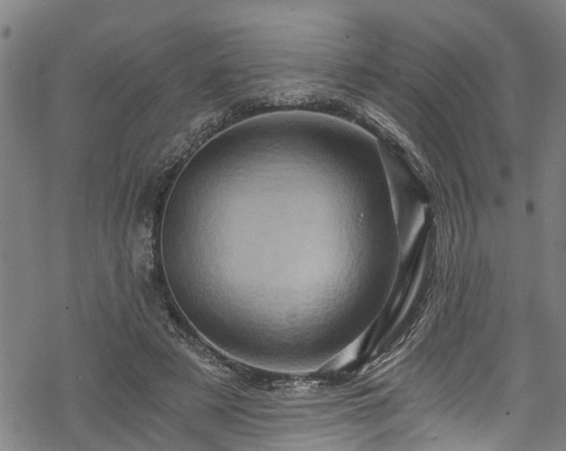 X0000068860497200605081244