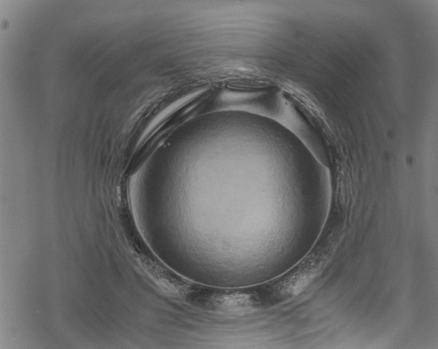 X0000068860501200605081244
