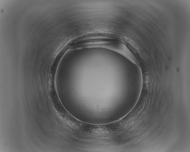 X0000068860544200605081243