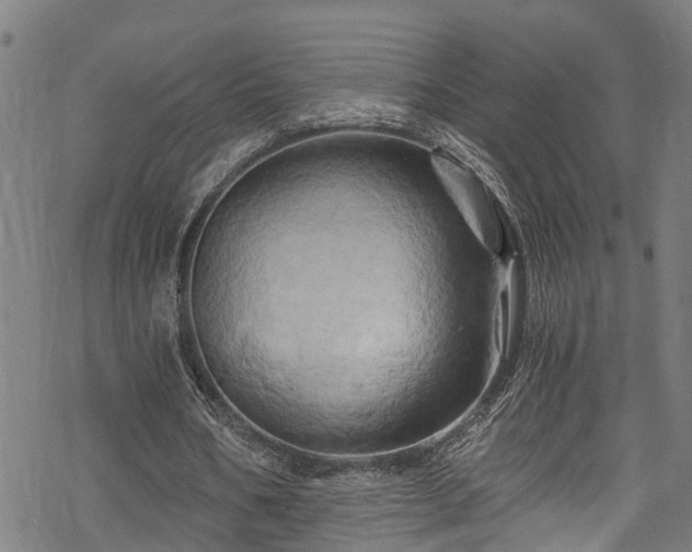 X0000068860578200605081243