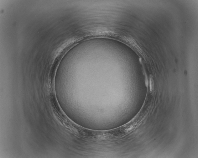 X0000068860579200605081243