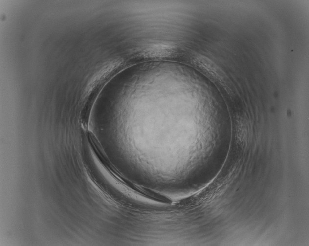 X0000068860586200605081243