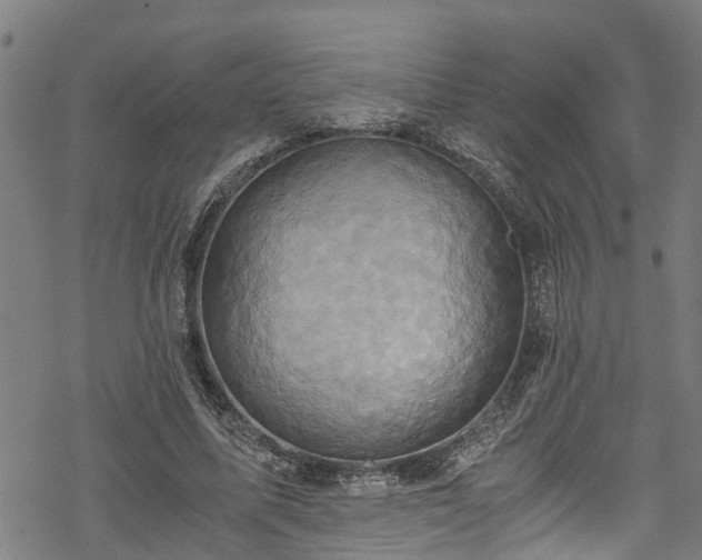 X0000068860587200605081243