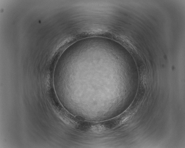 X0000068860591200605081243