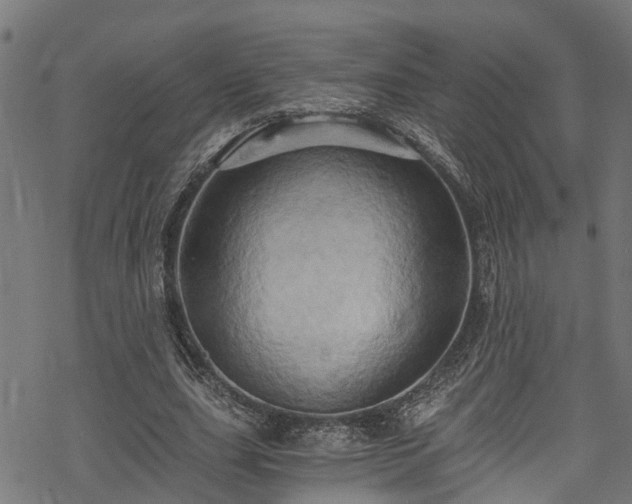 X0000068860631200605081241