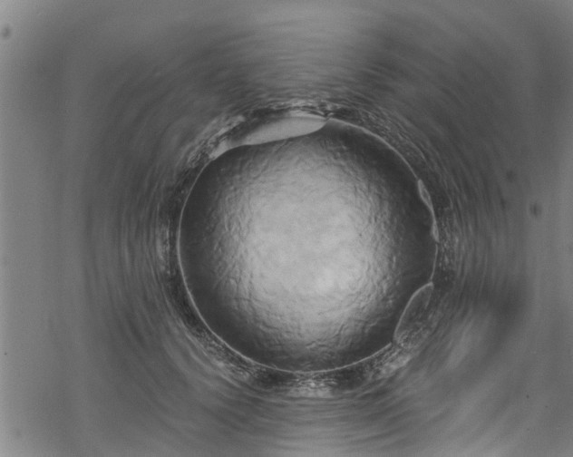 X0000068860656200605081242