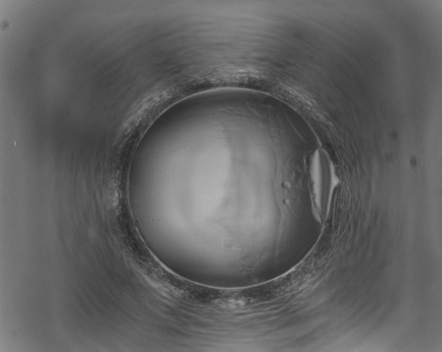 X0000068860687200605081241