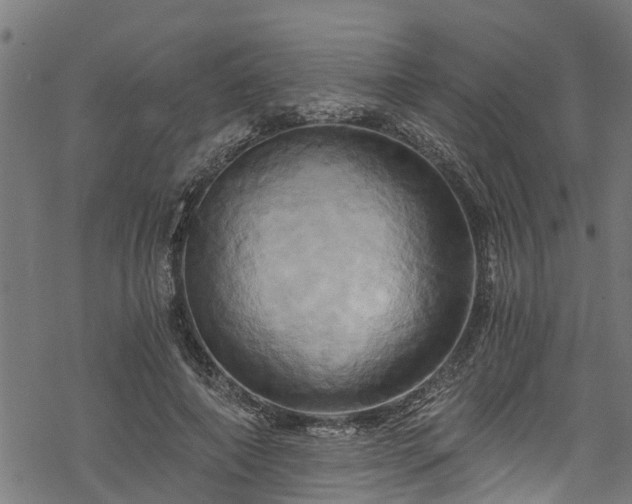 X0000068860690200605081241