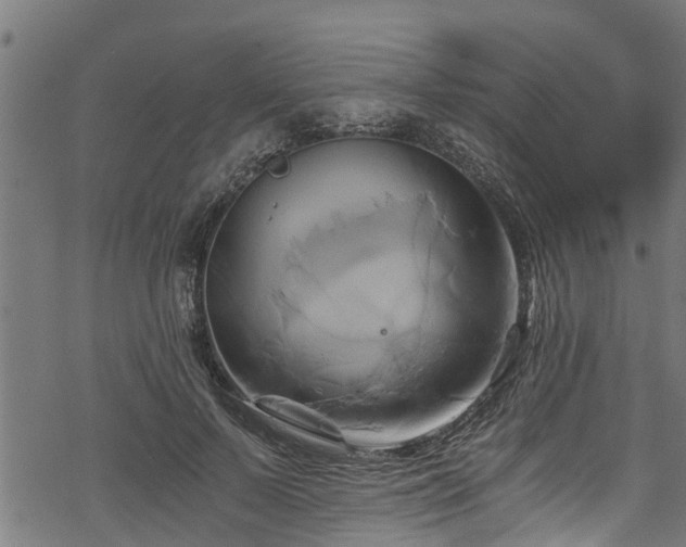 X0000068860695200605081241