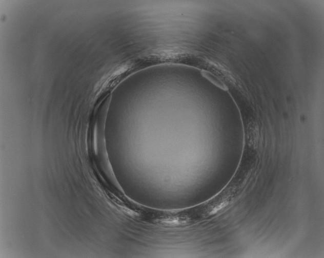 X0000068860740200605081240