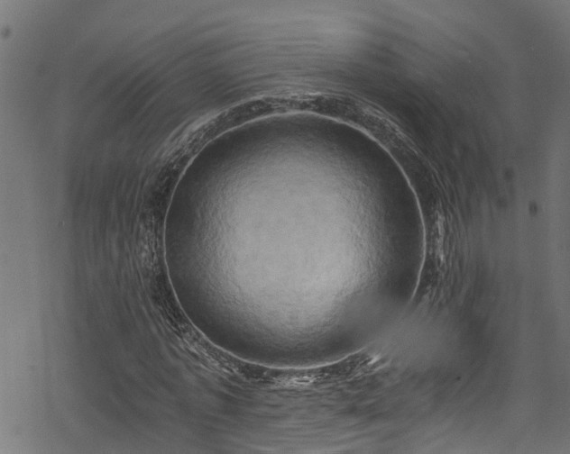 X0000068860773200605081239
