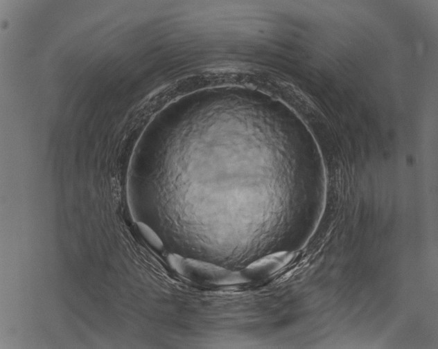 X0000068860821200605081238