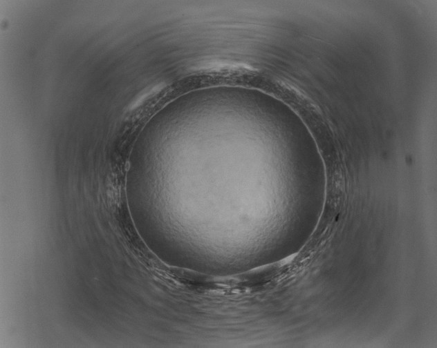 X0000068860869200605081238