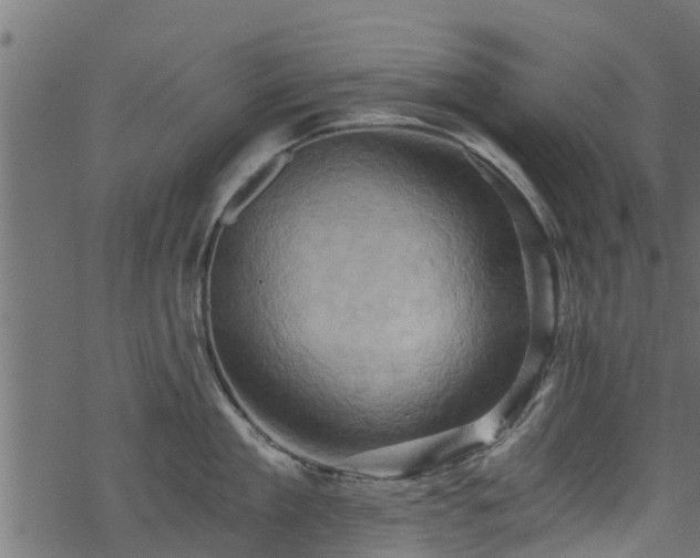 X0000068860909200605081237