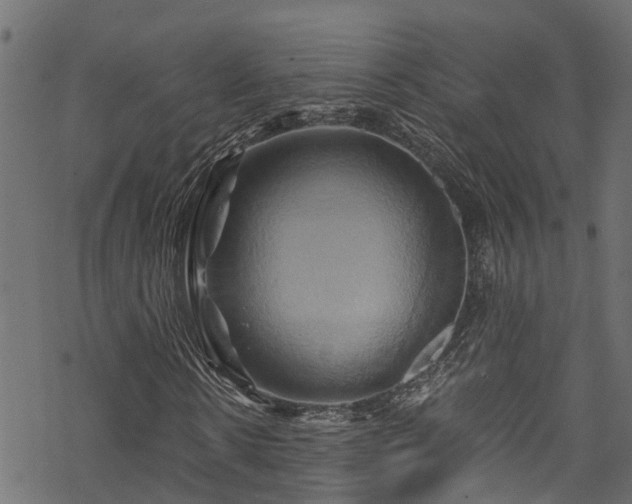 X0000068860914200605081236