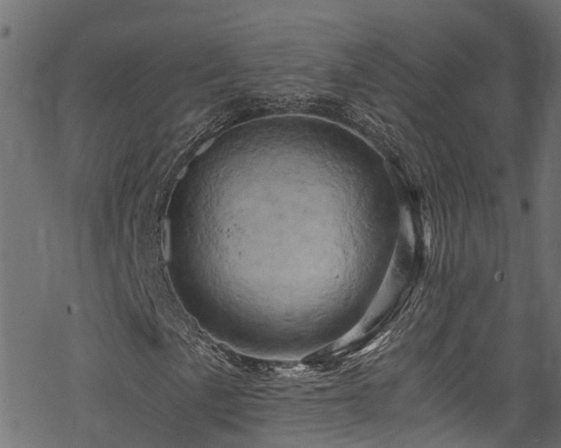 X0000068861057200605081235