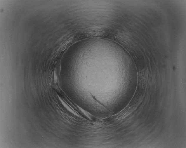 X0000068861058200605081235