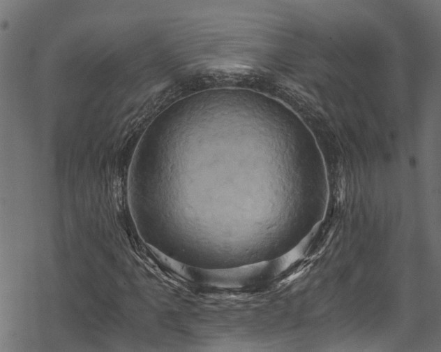 X0000068861061200605081235