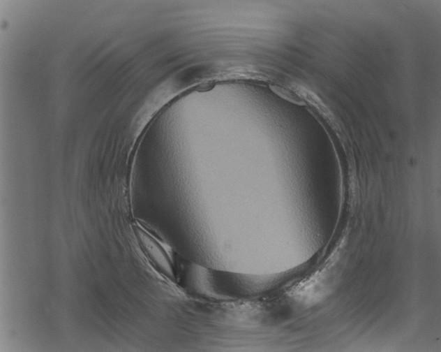 X0000068861089200605081234