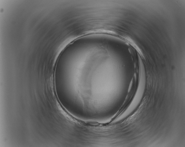 X0000068861100200605081234
