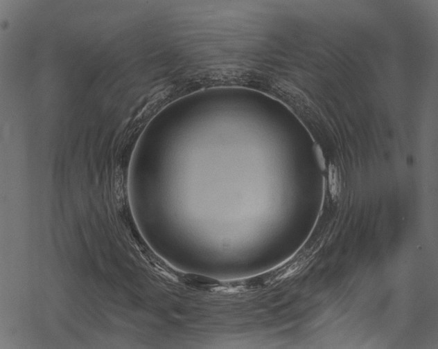X0000068861107200605081233