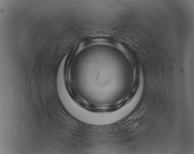 X0000068861202200605081232