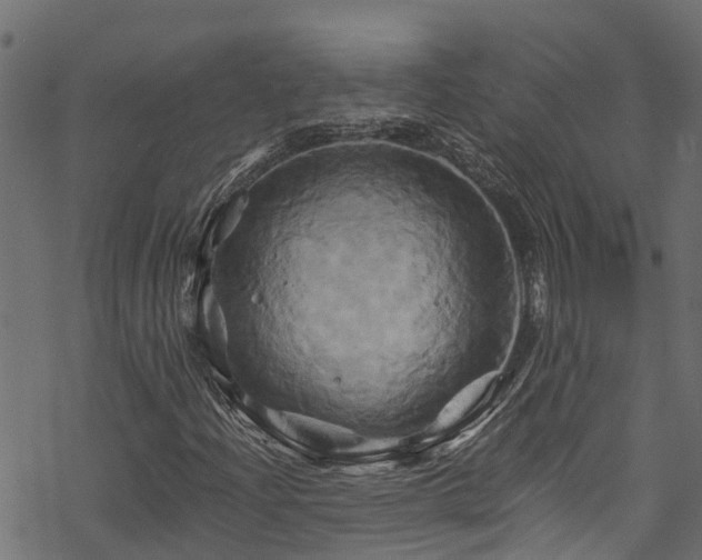 X0000068861204200605081232