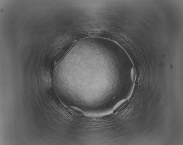X0000068861252200605081231