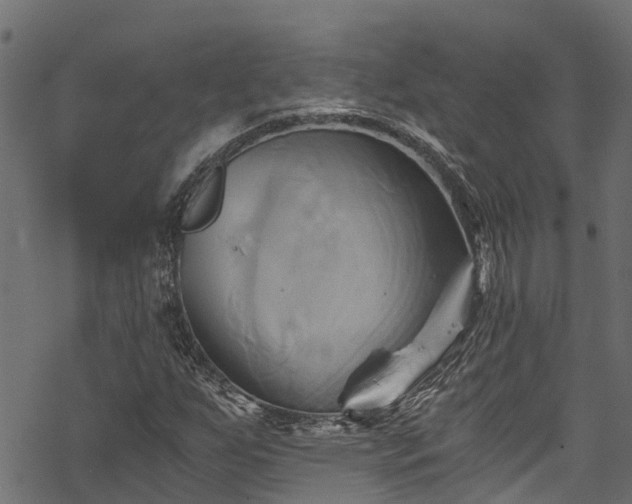 X0000068861255200605081231