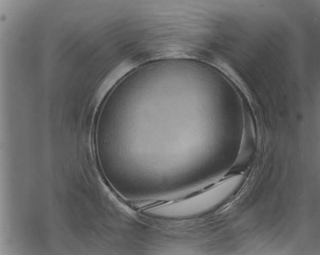 X0000068861293200605081231