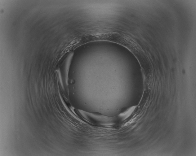 X0000068861298200605081230