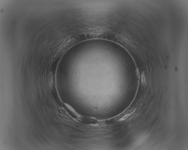 X0000068861299200605081230