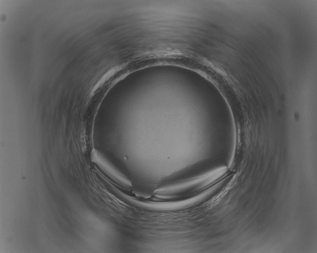 X0000068861306200605081230