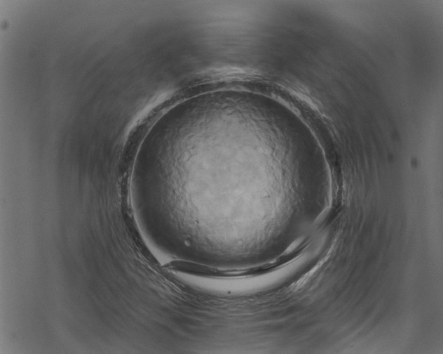 X0000068861309200605081230