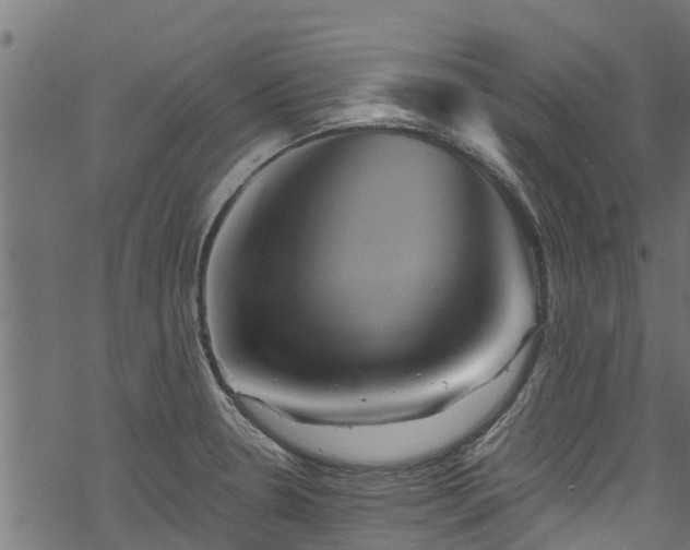 X0000068861330200605081230