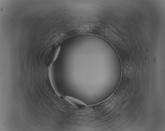 X0000068861346200605081230