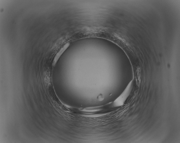 X0000068861348200605081230