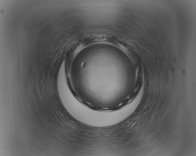 X0000068861394200605081228