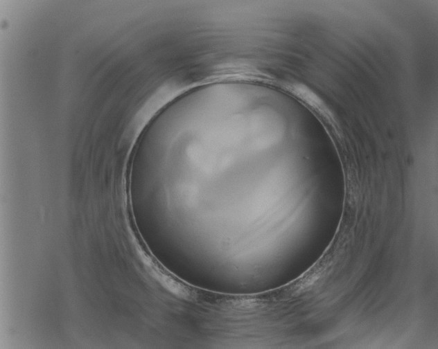 X0000068861431200605081229