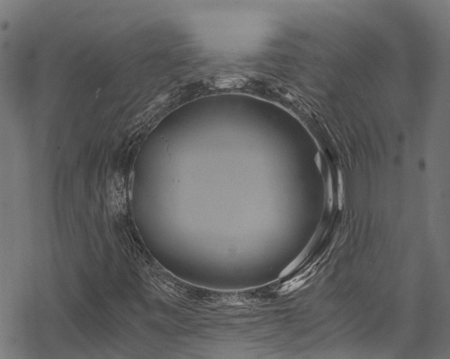 X0000068861443200605081228