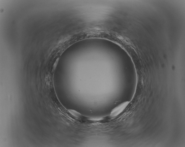 X0000068861445200605081228