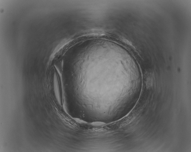 X0000068861448200605081228