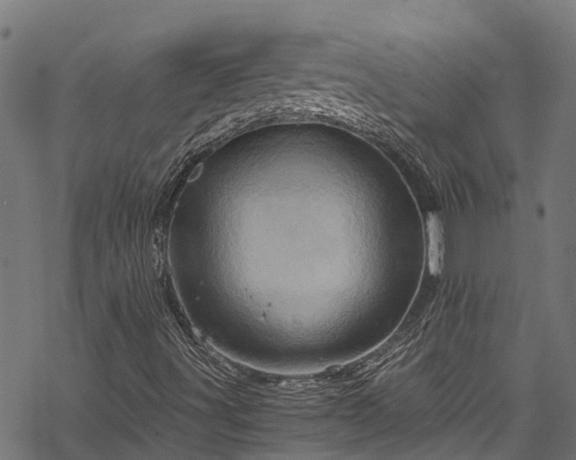 X0000068861491200605081227